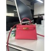 Kelly-mini-020