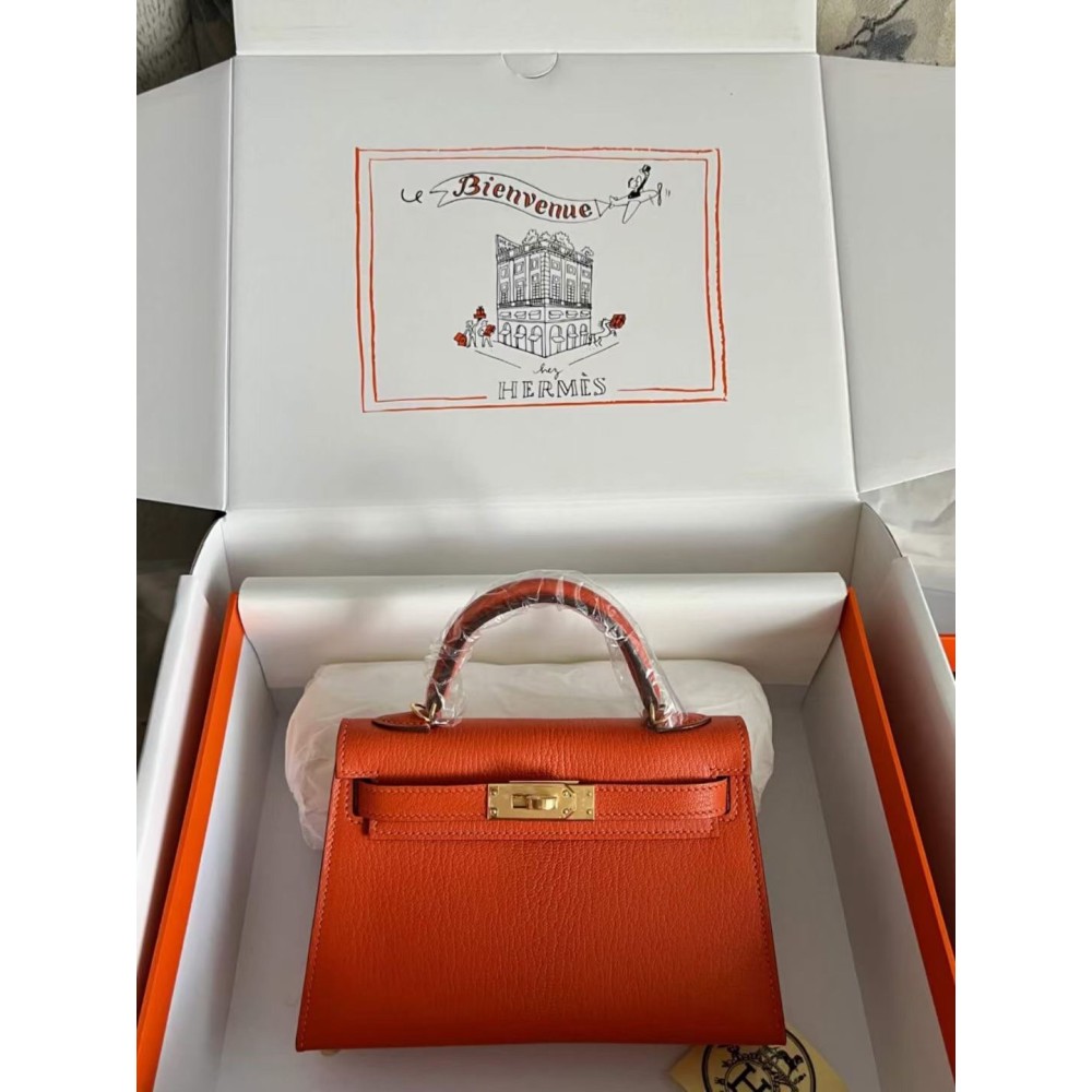 Kelly-mini-053